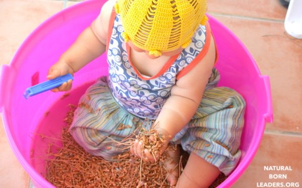 How to promote Multi-sensory Education in early years and early primary education