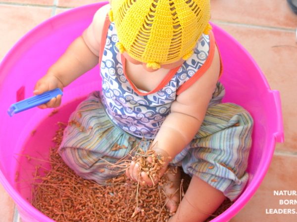 How to promote Multi-sensory Education in early years and early primary education