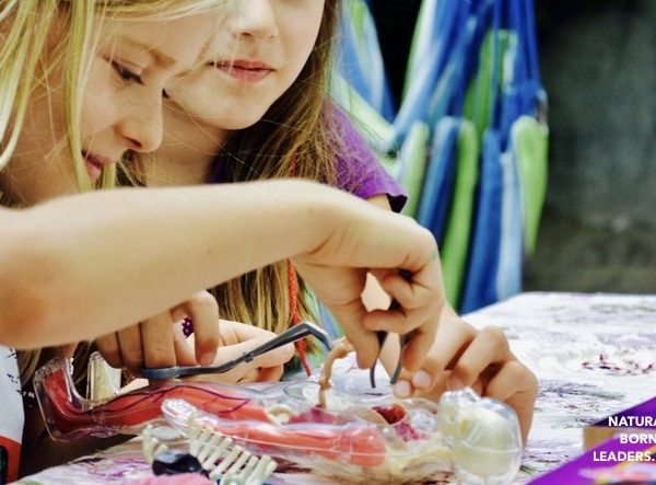 10 Exciting Ways to Engage Children into Learning using Active Learning Approach