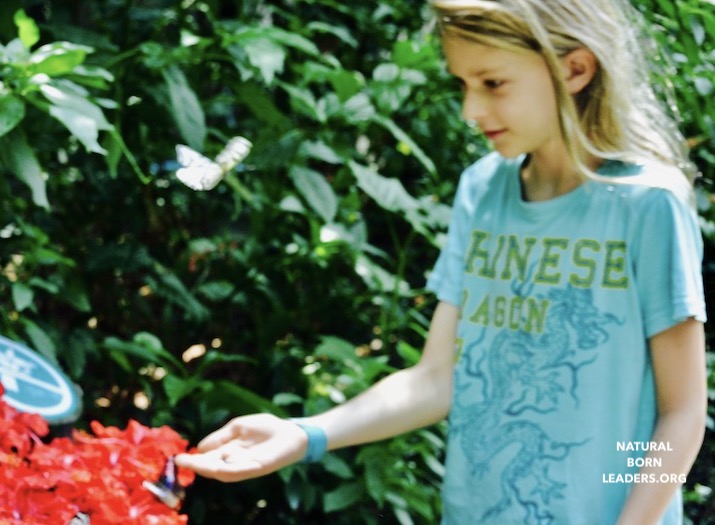 Why Nurturing Heart Qualities in Children is Important and how educators and parents can do it.