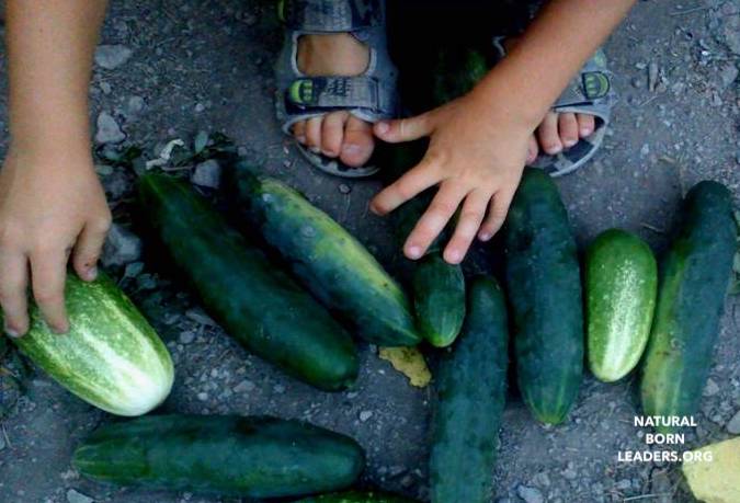 early maths outdoor education every day objects in early learning 