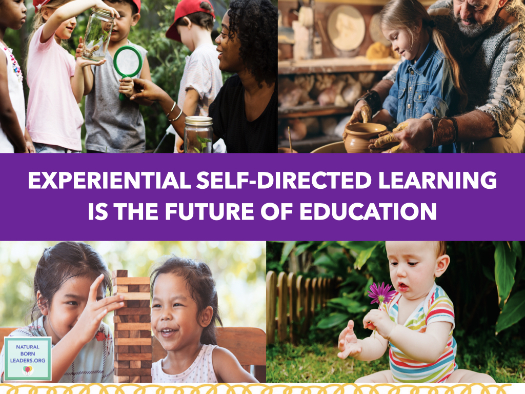 self directed learning home education