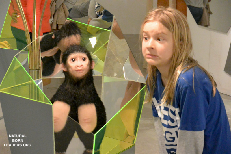 modern arts kids museum
