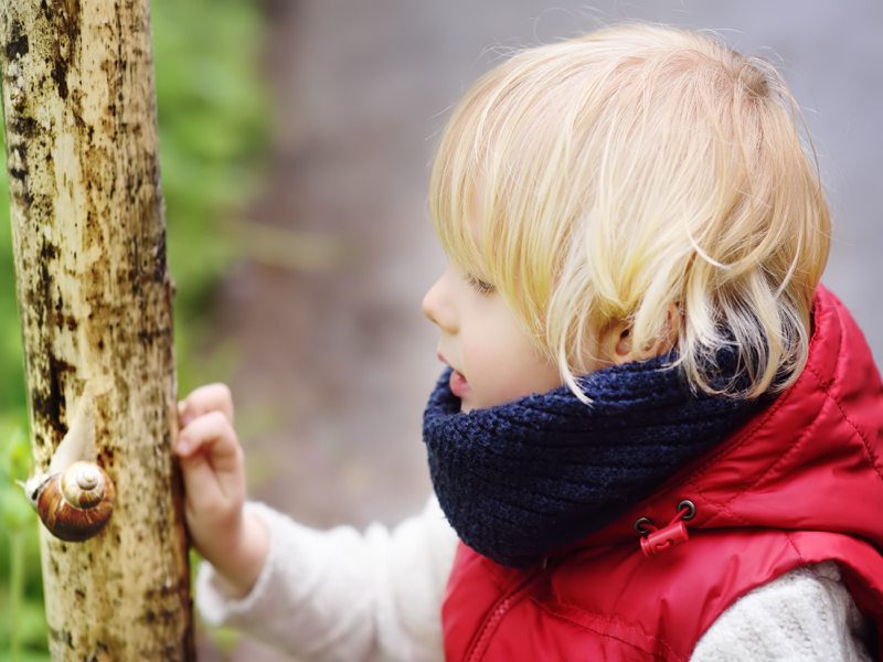 boy snail early years outdoor education
